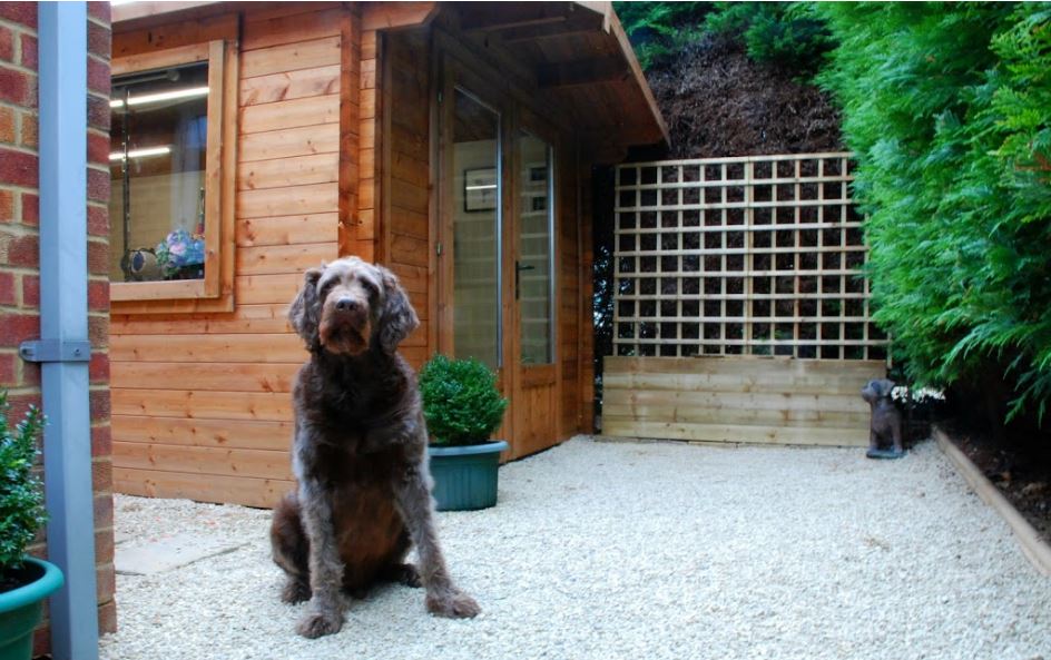 Bubble Bark Grooming Salon